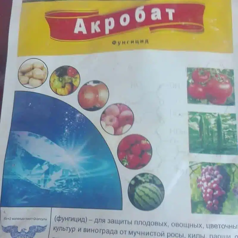 Mancozeb 600gkg Dimethomorph 90gkg WDG 4 e1742377268588 Mancozeb 600gkg + Dimethomorph 90gkg WDG