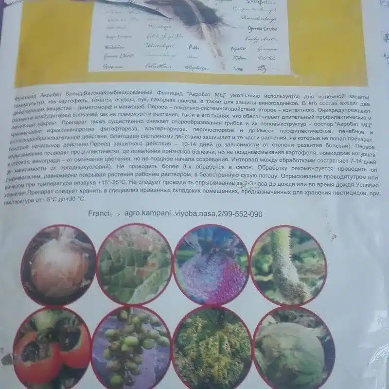 Mancozeb 600gkg Dimethomorph 90gkg WDG e1742377216823 Mancozeb 600gkg + Dimethomorph 90gkg WDG