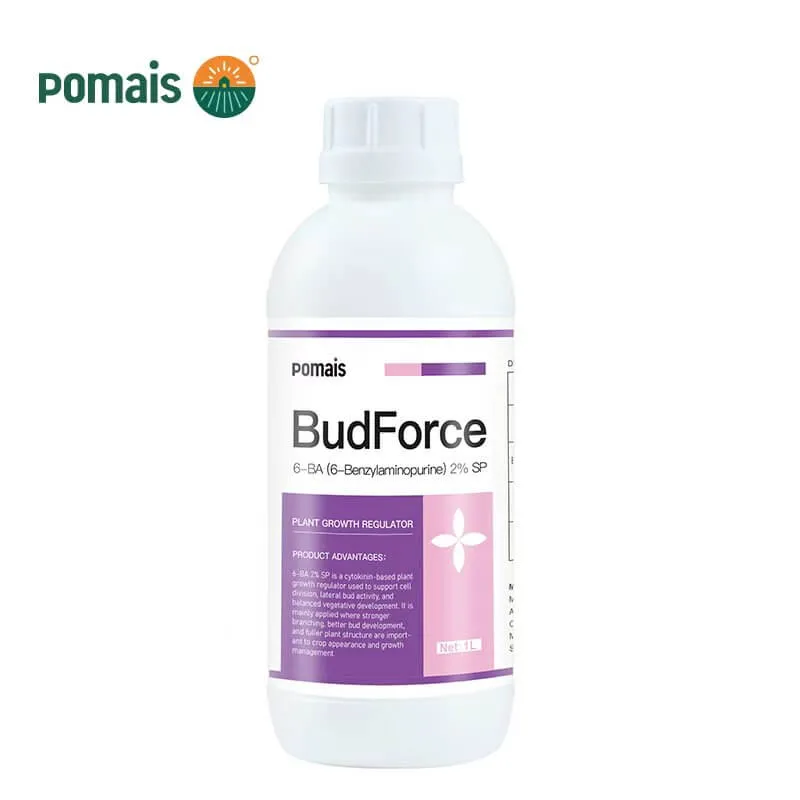 6 BA 6 Benzylaminopurine 2 SP 6 BA 6 Benzylaminopurine 2 SP