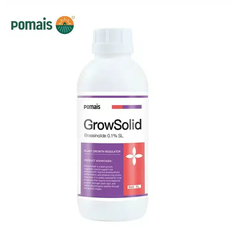 Brassinolide 0.1 SL Brassinolide 0.1 SL