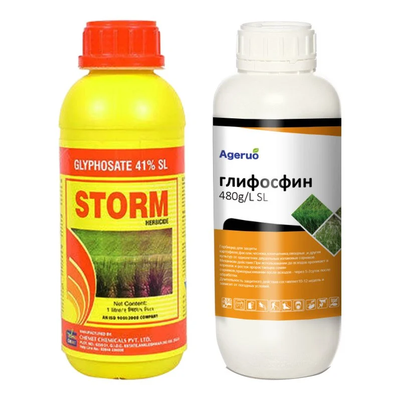 Does Glyphosate Kill Bees?