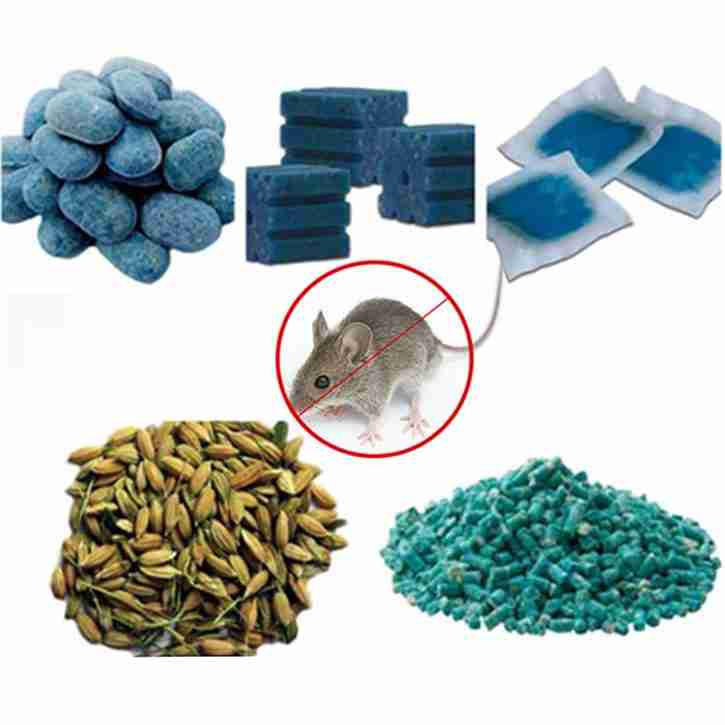 Brodifacoum: What It Is, How to Kill Rats?