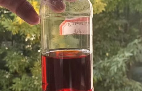 What Is Diquat? 5 Diquat