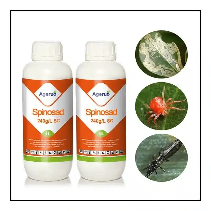 Does Spinosad Kill Thrips?