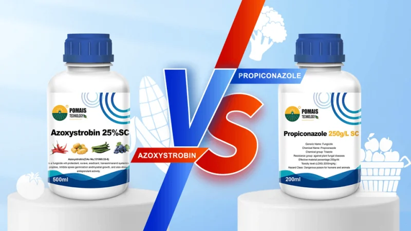 Azoxystrobin and Propiconazole Fungicide Rotation
