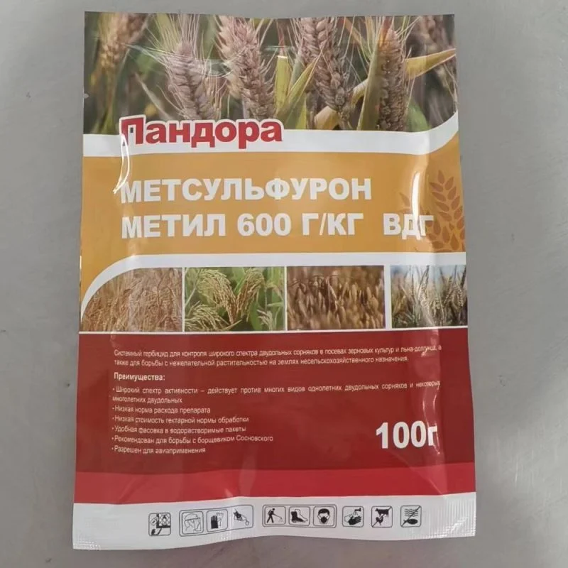 Mode of Action of Metsulfuron Methyl