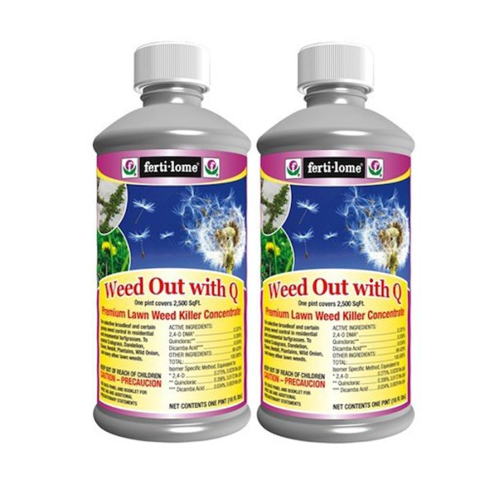 Quinclorac herbicide