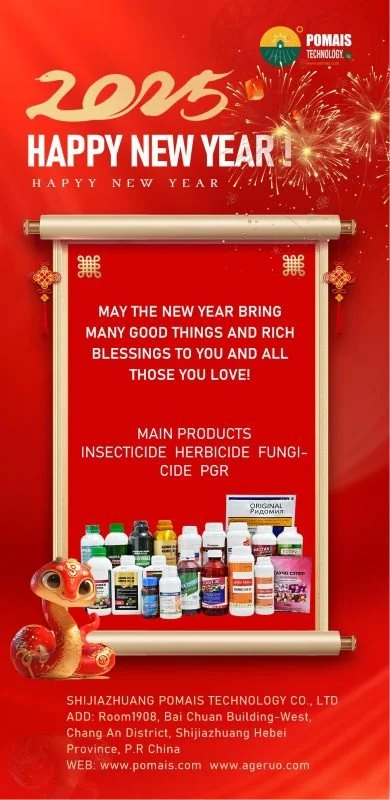 Happy New Year’s Day!