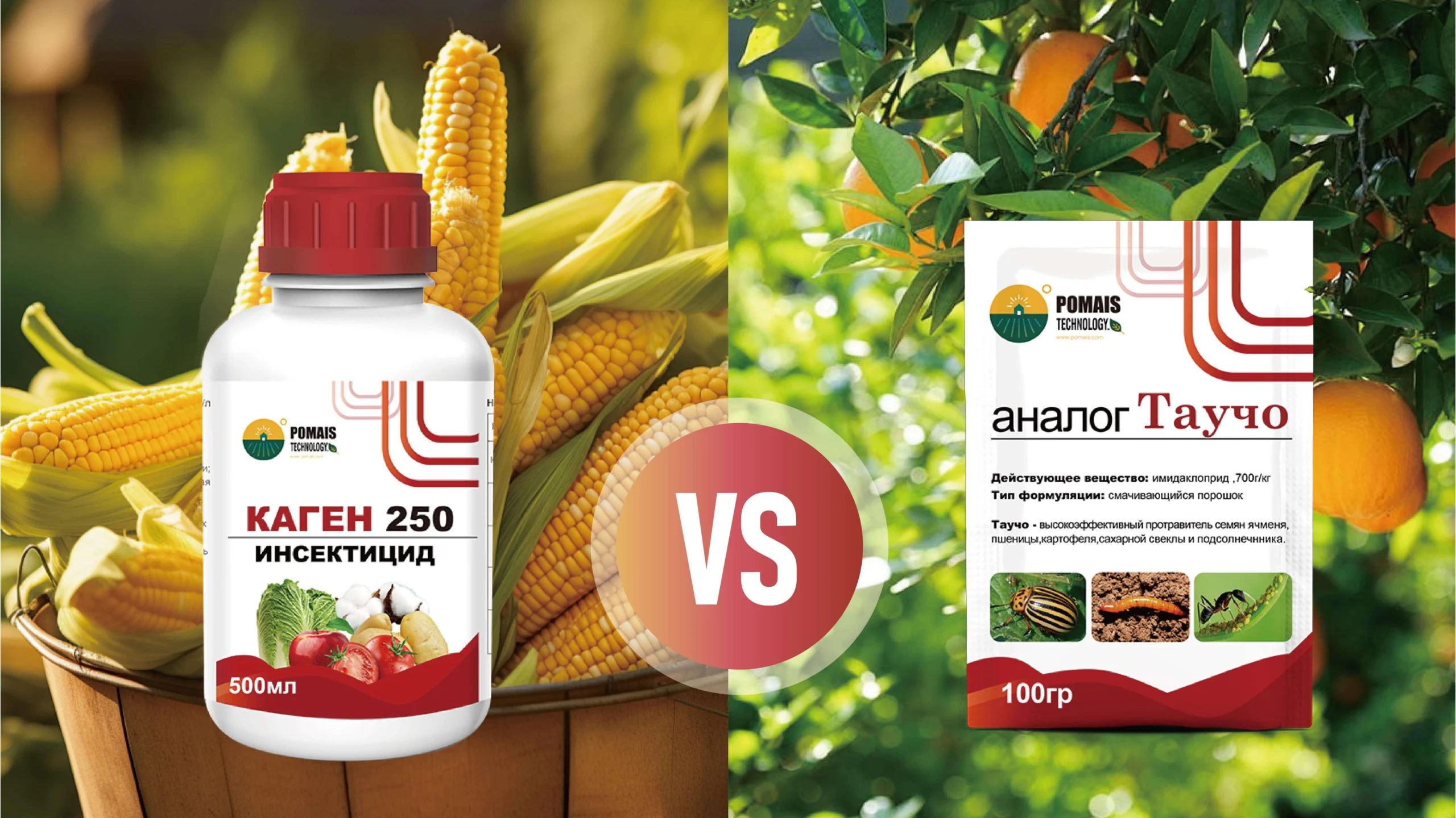 Chlorantraniliprole vs Imidacloprid Insecticides