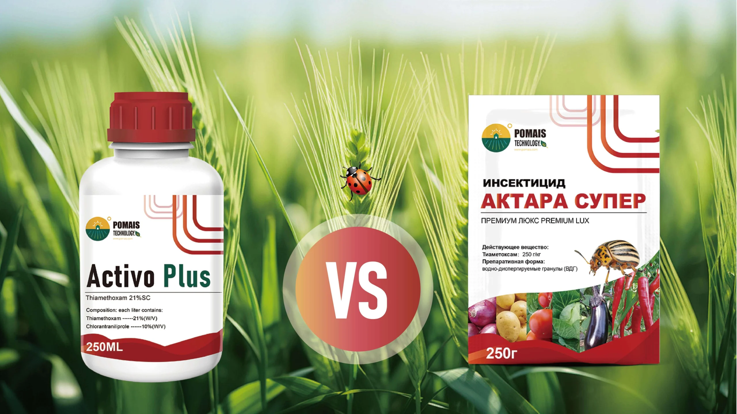 Clothianidin vs Thiamethoxam