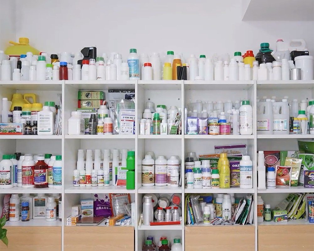 Team building day with our clients! (5) Team building day with our clients 5