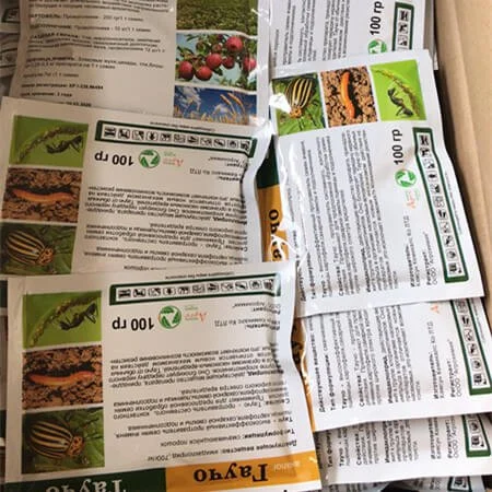 Pets and Imidacloprid: How Safe Is It for Your Dog or Cat?