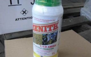 Does 2 4 D Kill Bermuda Grass? Effective Lawn Care Tips Revealed