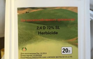 Will 24D Kill Bermuda Grass: Effective Lawn Weed Control Tips