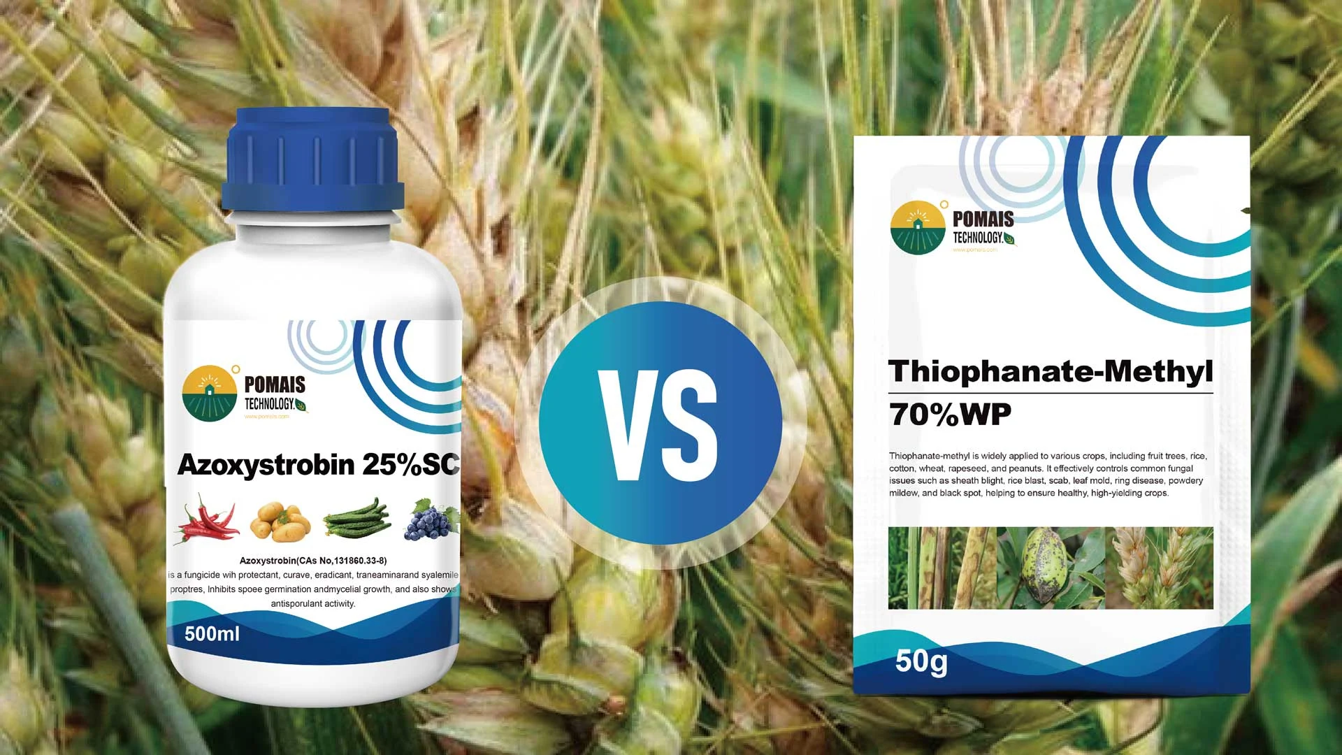 Azoxystrobin Fungicide vs Thiophanate-Methyl for Lawns