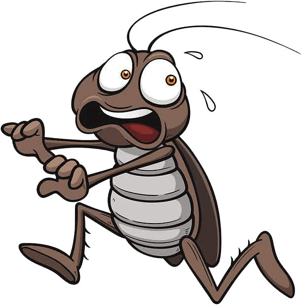 Cockroach (3)