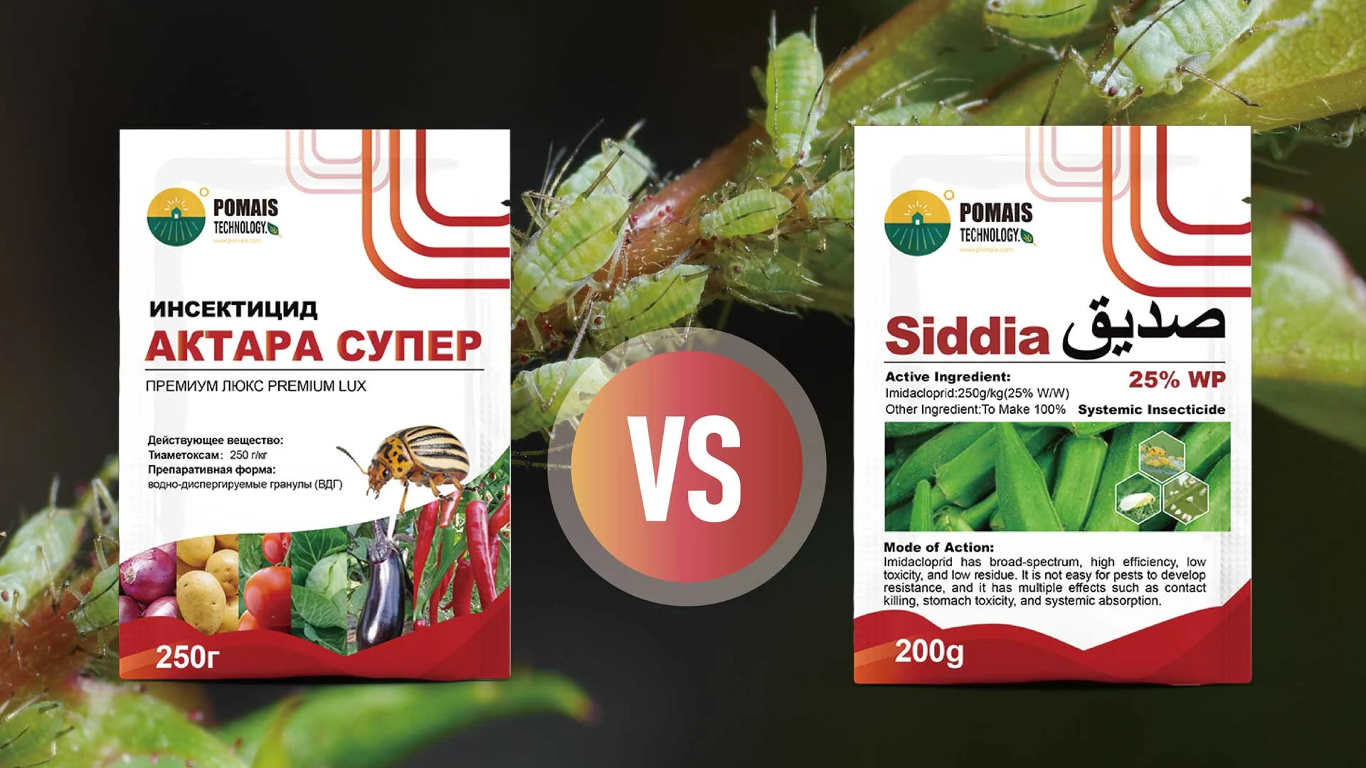 Thiamethoxam vs Imidacloprid: A Comparative Guide for Modern Pest Control