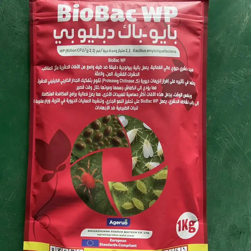 Bacillus subtilis 1 44 Bacillus coagulans vs Bacillus subtilis: Which One Fits Agricultural Biopesticide Use Better?