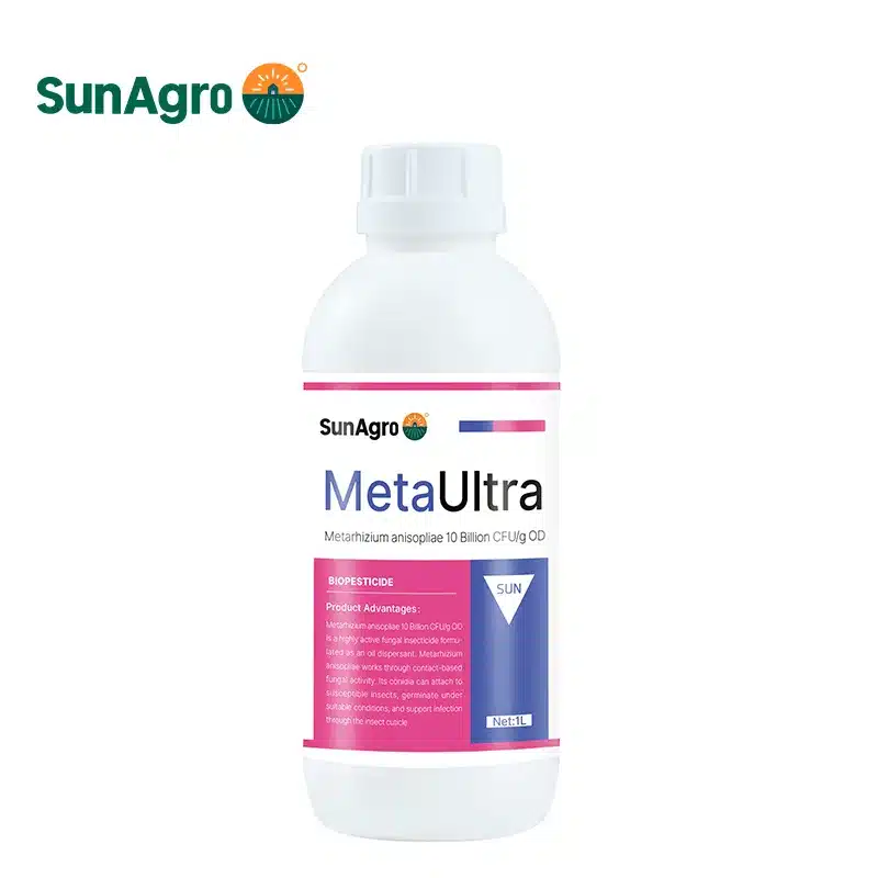 Metarhizium anisopliae 10 Billion CFUg OD Metarhizium anisopliae Bio-Insecticide 2.5% WP, 10 Billion CFU/g OD, 5 Billion CFU/g SC - Image 3