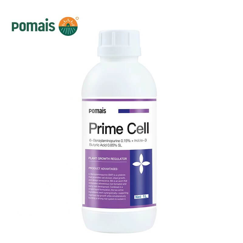 6 Benzylaminopurine 0.15 Indole 3 Butyric Acid 0.85 SL 4 6-Benzylaminopurine 0.15% + Indole-3-Butyric Acid 0.85% SL
