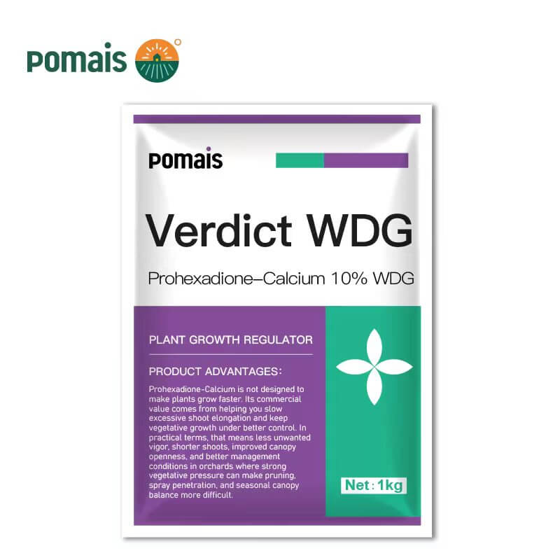 Prohexadione Calcium Plant Growth Regulator 2 Prohexadione-Calcium Plant Growth Regulator