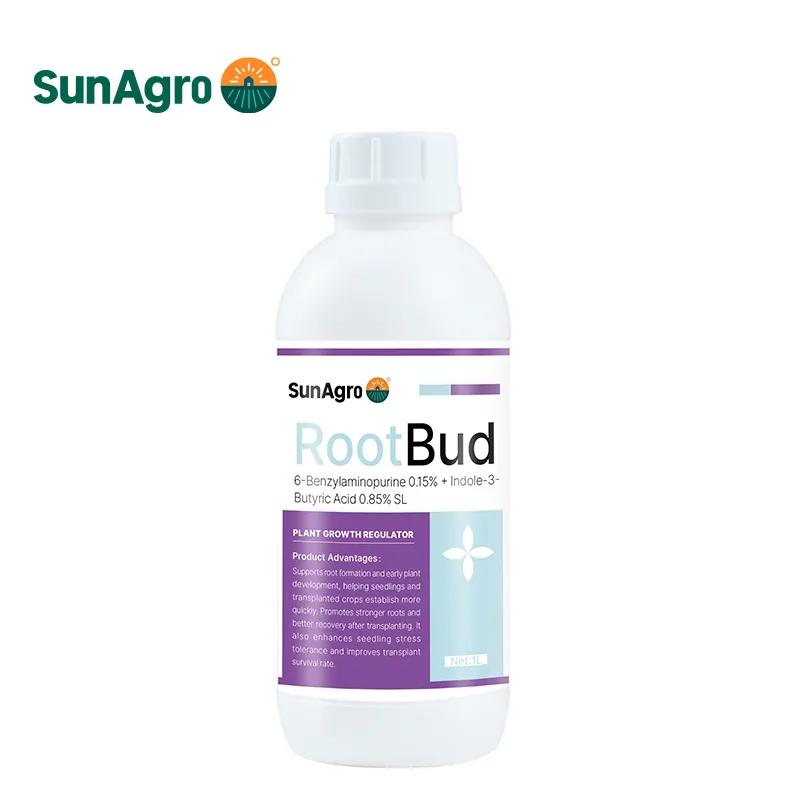 6 Benzylaminopurine 0.15 Indole 3 Butyric Acid 0.85 SL 6 Benzylaminopurine 0.15 Indole 3 Butyric Acid 0.85 SL