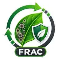 FRAC FRAC